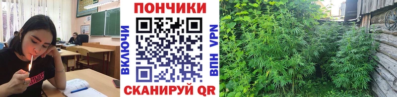 Где купить наркоту Володарск Alpha-PVP  Бошки Шишки  Cocaine  Амфетамин  Гашиш  Мефедрон 