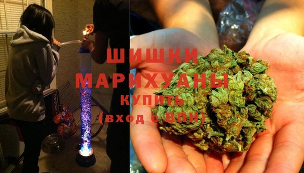 гидропоника Белокуриха