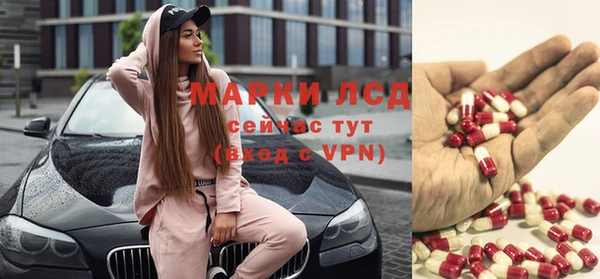 гидропоника Белокуриха